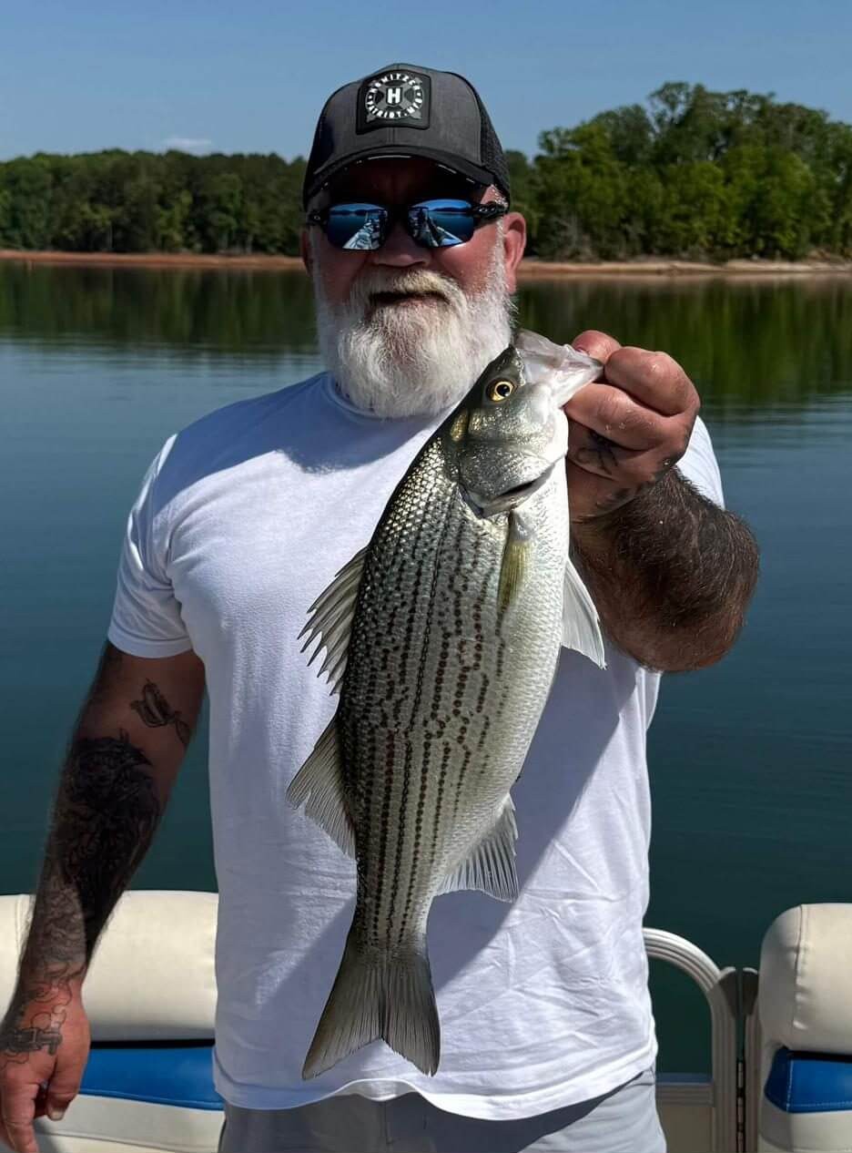 Lake Hartwell striper up close
