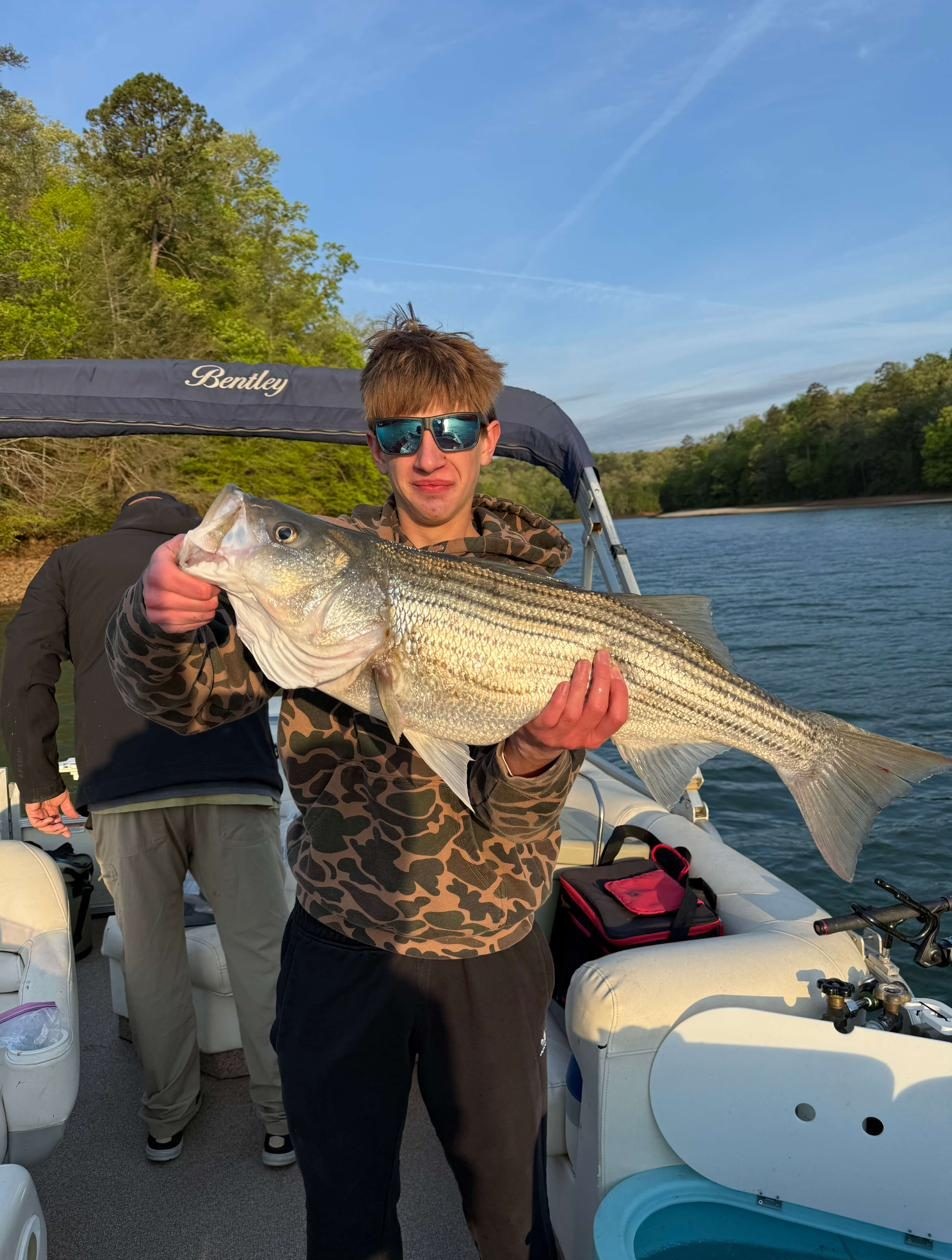 Evening light on Lake Hartwell