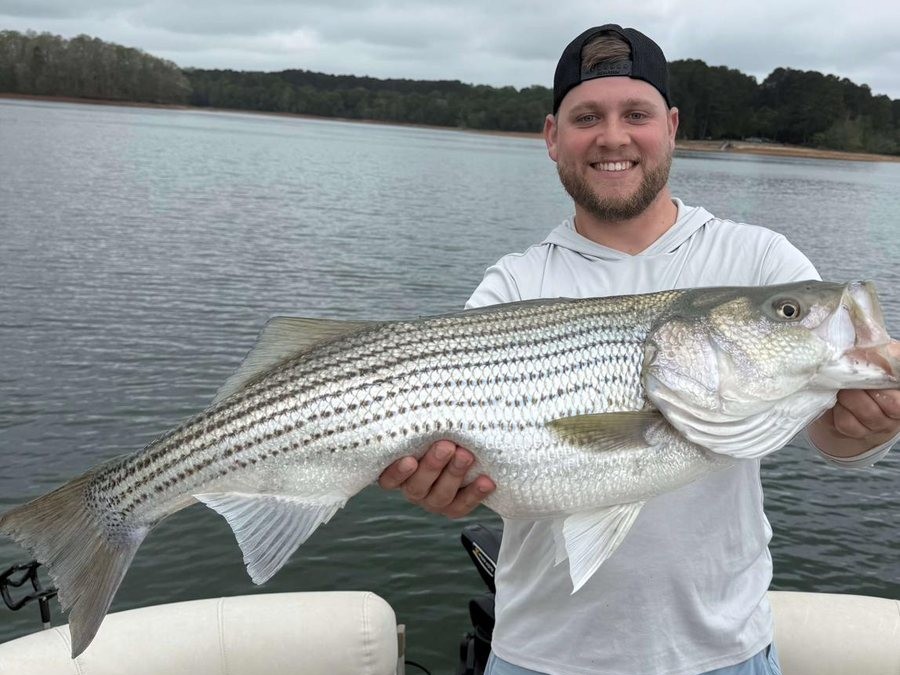 Striper fishing on Lake Hartwell